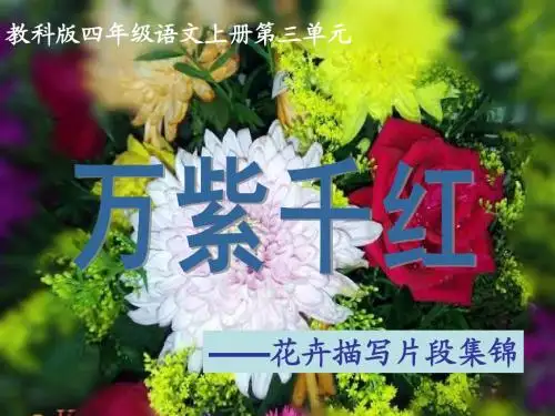 《万紫千红》PPT课件