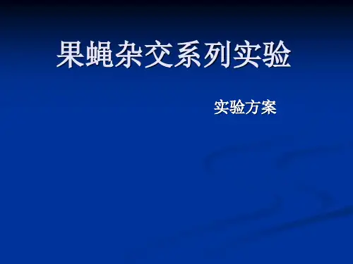 果蝇杂交实验方案
