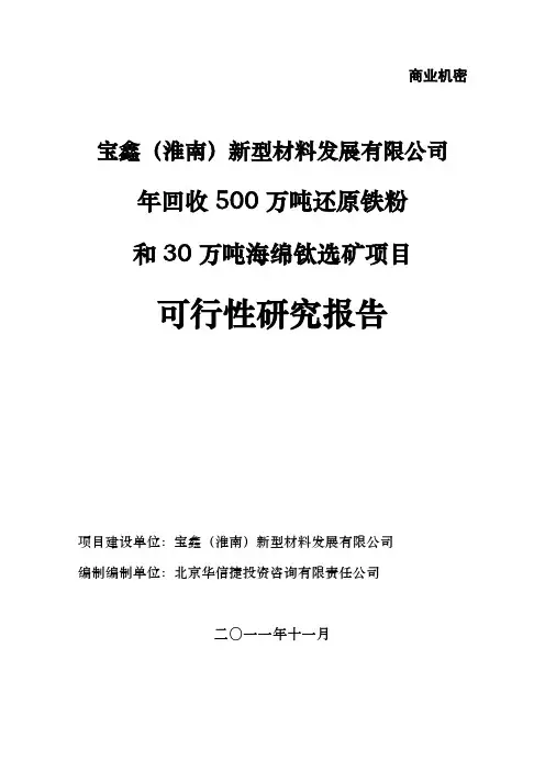 宝鑫(淮南)新型材料发展有限公司年回收500万吨还原铁粉和30万吨海绵钛选矿项目可行性研究报告