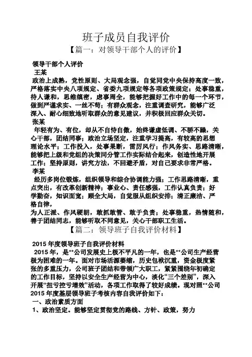 班子成员自我评价