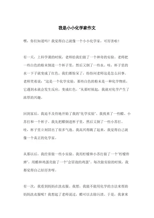 我是小小化学家作文