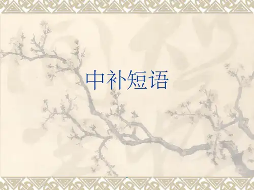 中补短语