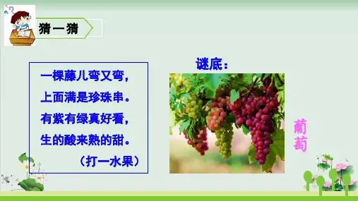 (部编版)小学语文二级上册《葡萄沟》PPT教学课件