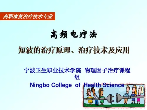 短波的治疗原理、治疗技术及应用(精)