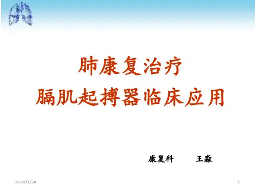 膈肌起搏器 ppt课件