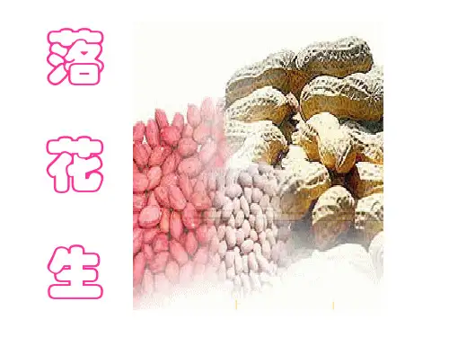 15.落花生(公开课课件)