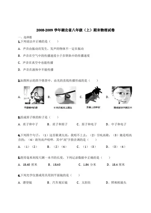 2008-2009学年湖北省八年级(上)期末物理试卷(含解析)