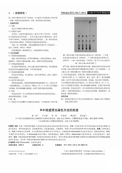 BrdU免疫荧光染色方法的改进