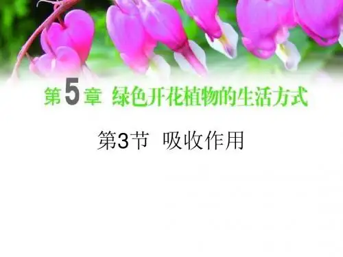 北师大版七年级生物上册3.5.3《吸收作用》精品课件