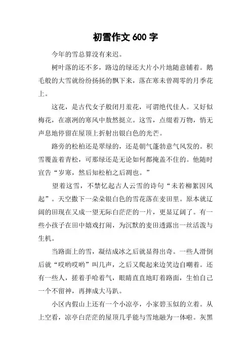 初雪作文600字_2