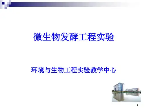 淀粉酶的固定化生产