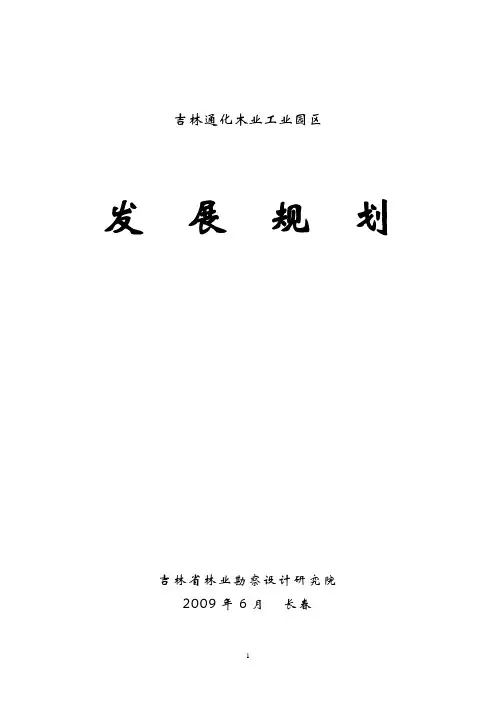 吉林省通化市木业工业园区建设规划