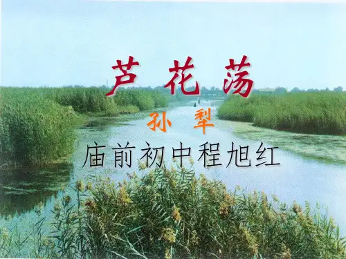 《芦花荡》课件.ppt