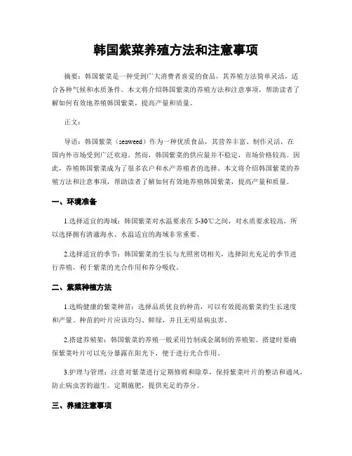 韩国紫菜养殖方法和注意事项