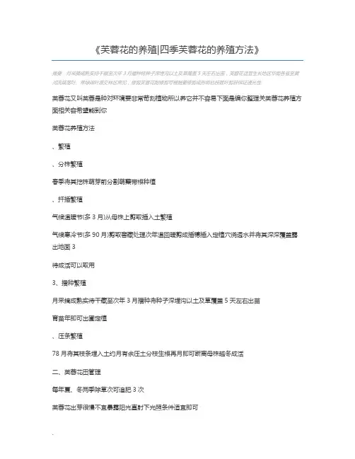 芙蓉花的养殖四季芙蓉花的养殖方法