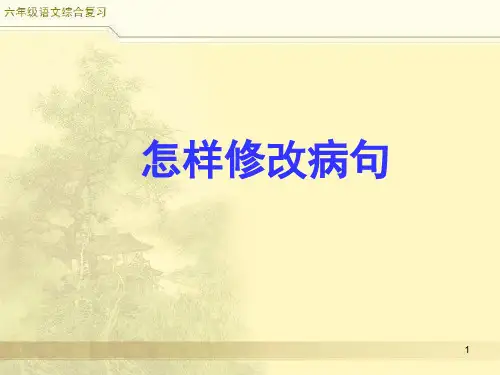 小升初语文综合复习之修改病句1