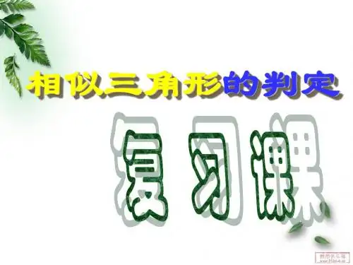 相似三角形的判定复习课