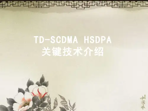 D-SCDMAHSDPA关键技术介绍