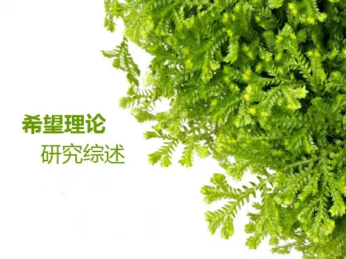 希望理论研究综述讲解