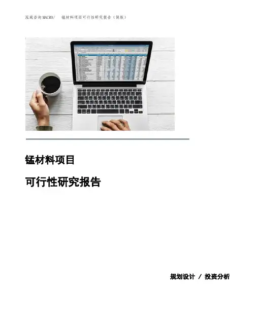 锰材料项目可行性研究报告(简版)