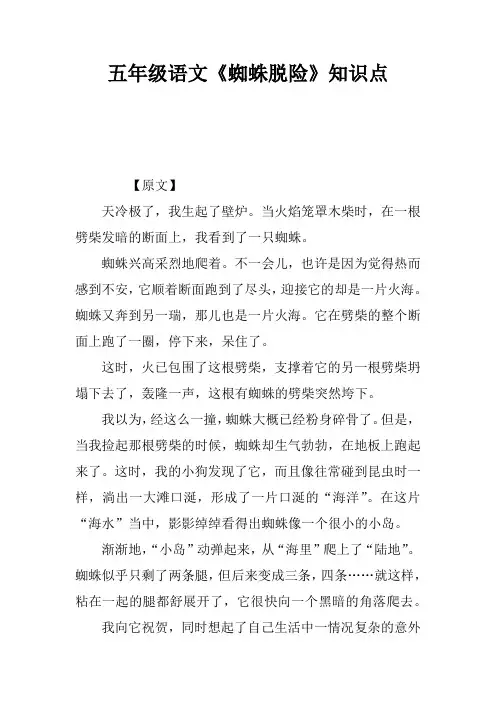 五年级语文《蜘蛛脱险》知识点
