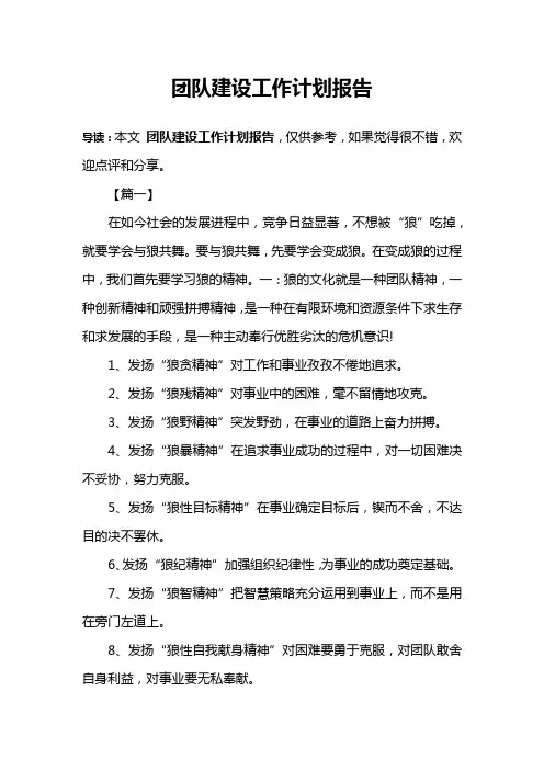 团队建设工作计划报告