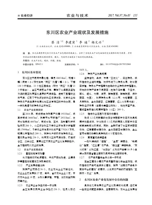 东川区农业产业现状及发展措施