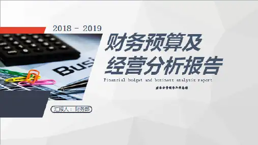 财务分管领导工作总结
