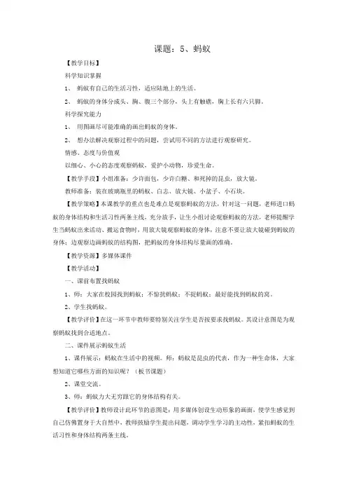 教科版科学三年级上册 2.5《蚂蚁》