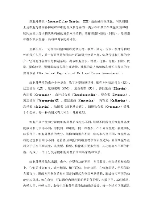 细胞外基质 2