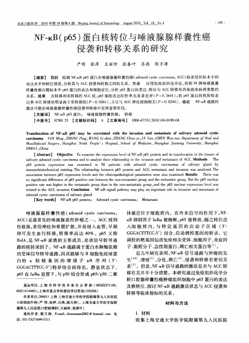 NF-κB(p65)蛋白核转位与唾液腺腺样囊性癌侵袭和转移关系的研究