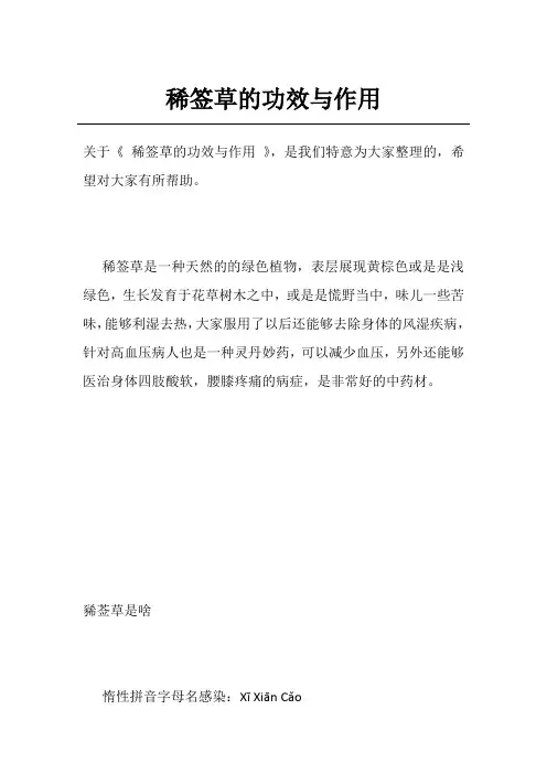 稀签草的功效与作用