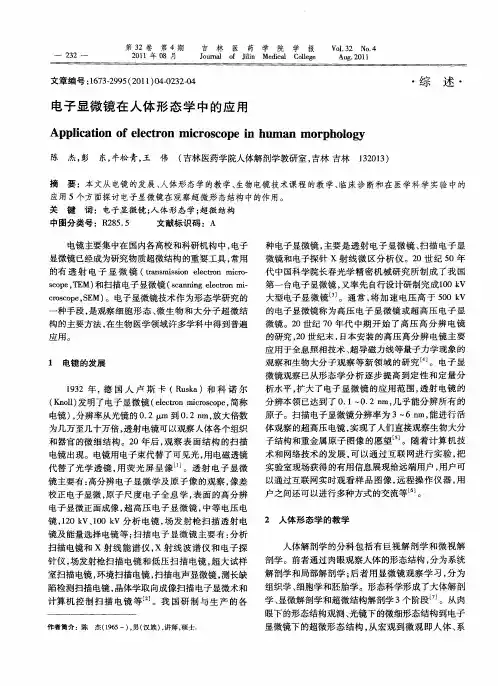 电子显微镜在人体形态学中的应用