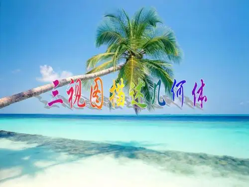 视图3