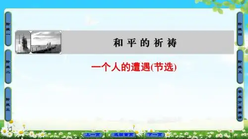 苏教版语文必修2课件:2 一个人的遭遇(节选)