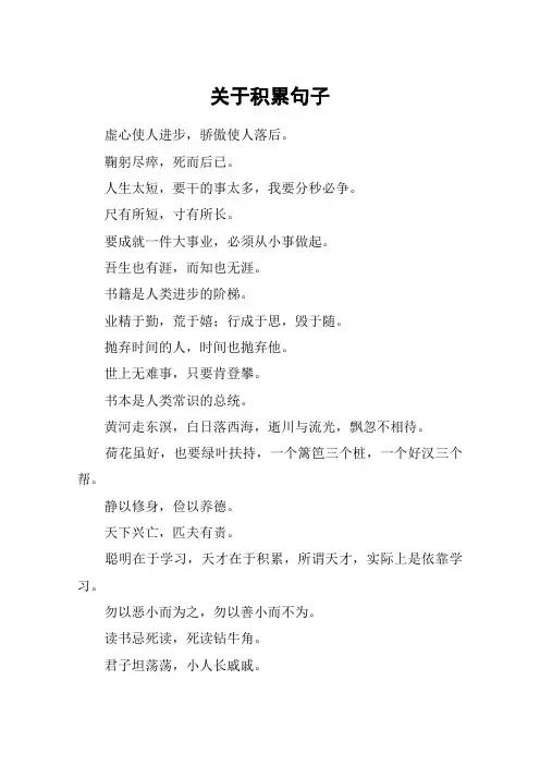 关于积累句子