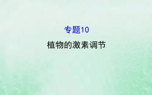2019版高考生物二轮复习专题十植物的激素调节课件