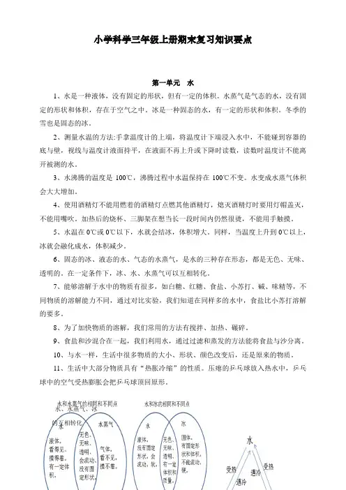 最新教科版三年级科学上册期末复习知识要点