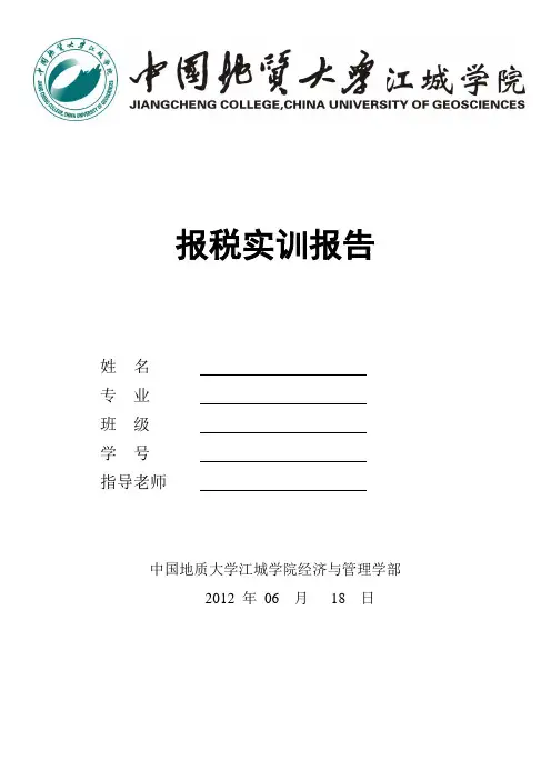 报税实训报告