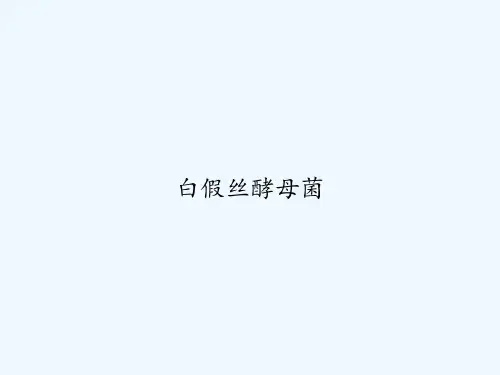 白假丝酵母菌 PPT