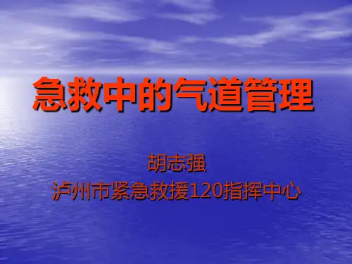 急救中的气道管理.ppt