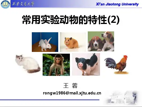 常用实验动物的特性