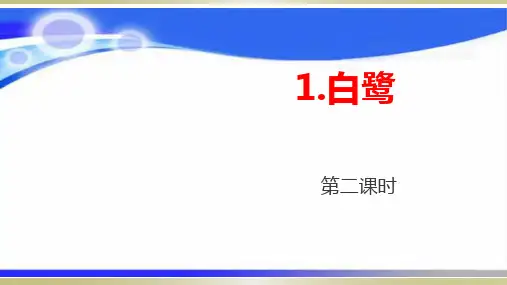部编版教材《白鹭》公开课课件1