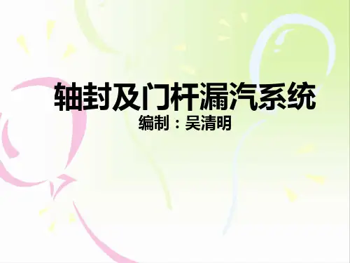 汽轮机轴封系统 (1)
