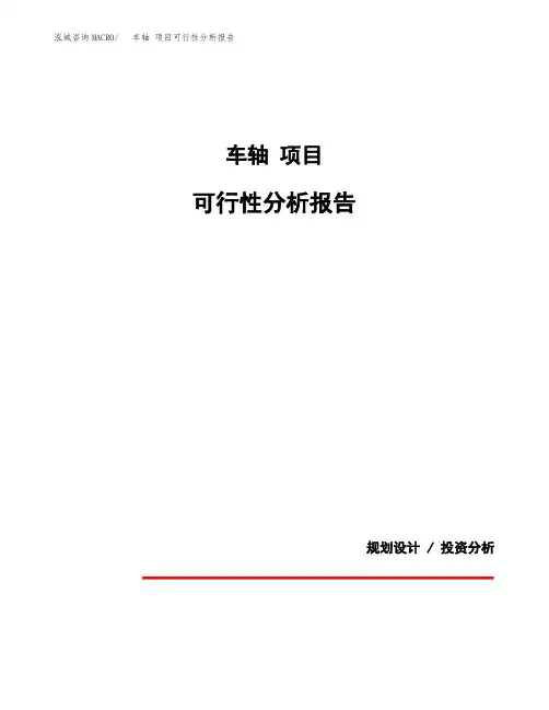 车轴 项目可行性分析报告(模板参考范文)