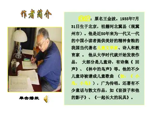 一起长大的玩具(PPT)3-1