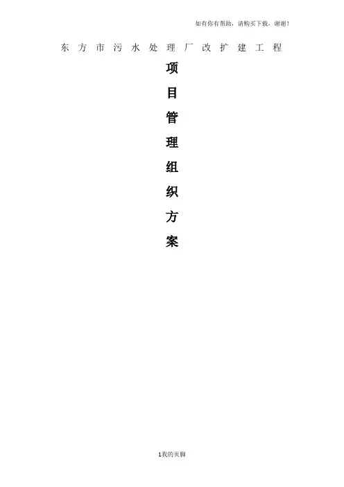 某市污水处理厂改扩建工程项目管理组织方案(DOC 32页)
