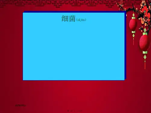 八年级生物上册 第5单元 第4章 第2节 细菌课件上册生物课件