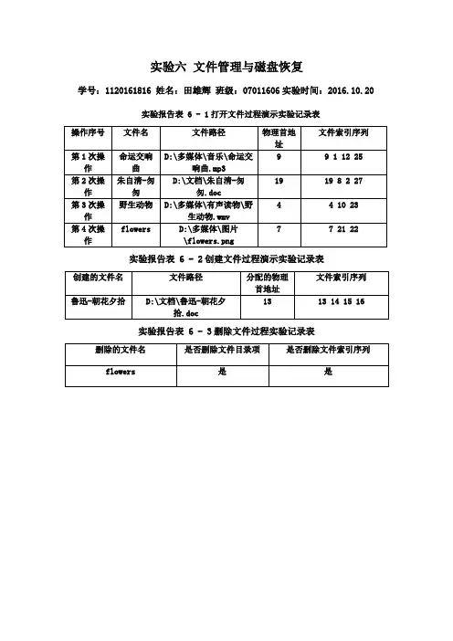 实验六 文件管理与磁盘恢复