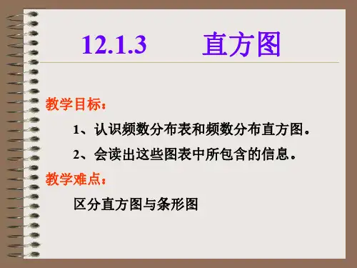 19直方图